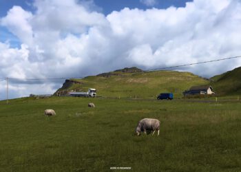 Euro Truck Simulator 2 – Island-Erweiterung offiziell angekündigt